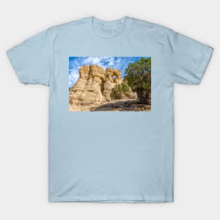 Pillar Arch In Potter Canyon New Mexico T-Shirt